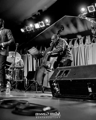 Snarky Puppy