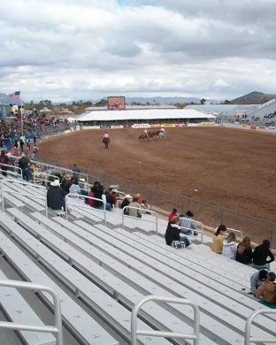 Women of Rodeo